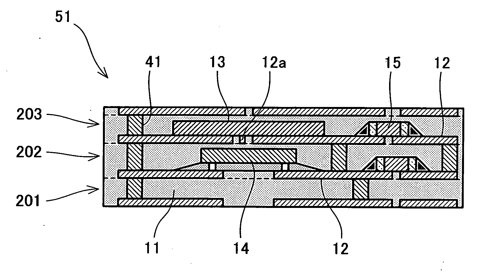 Module with built-in circuit elements