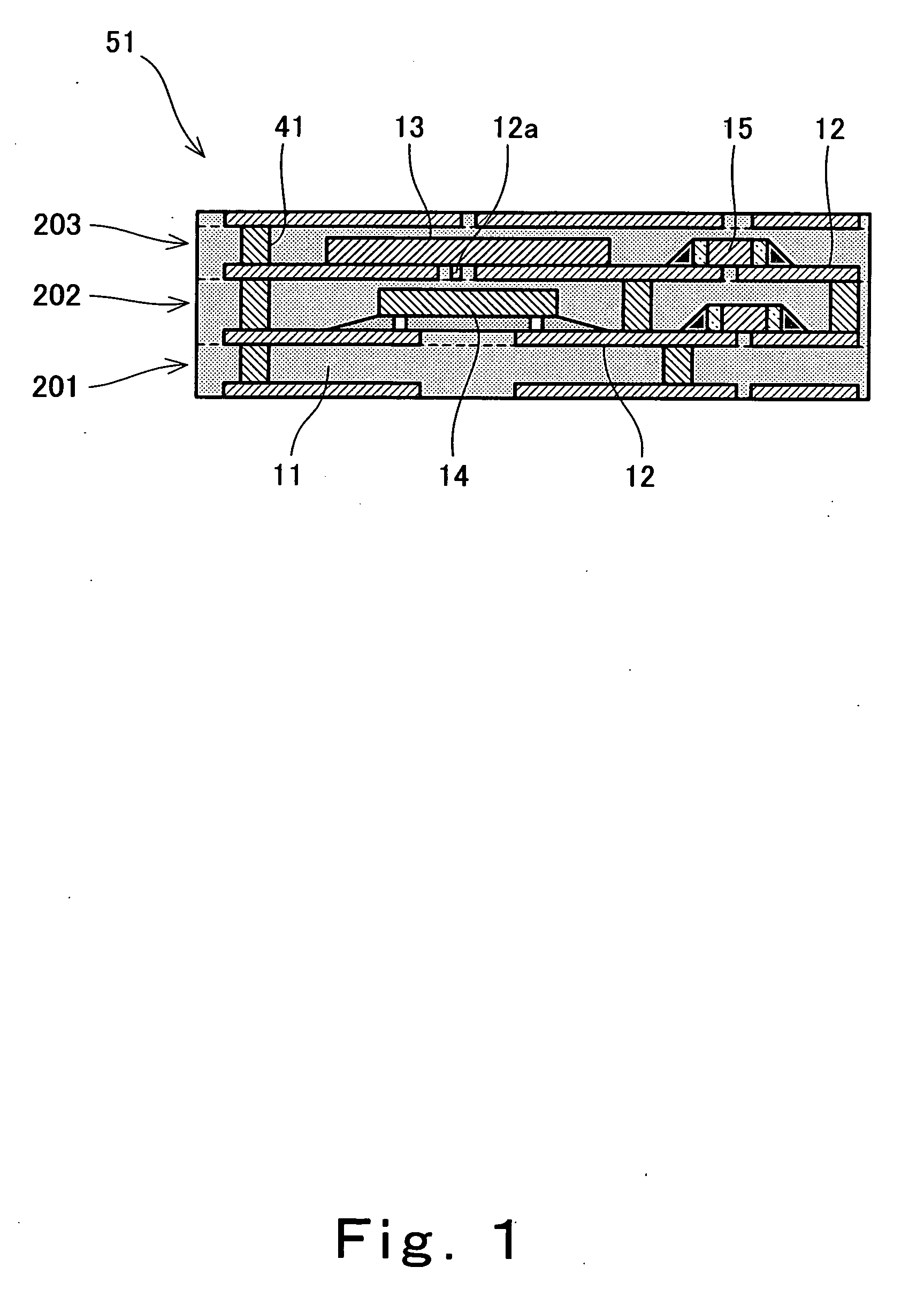 Module with built-in circuit elements