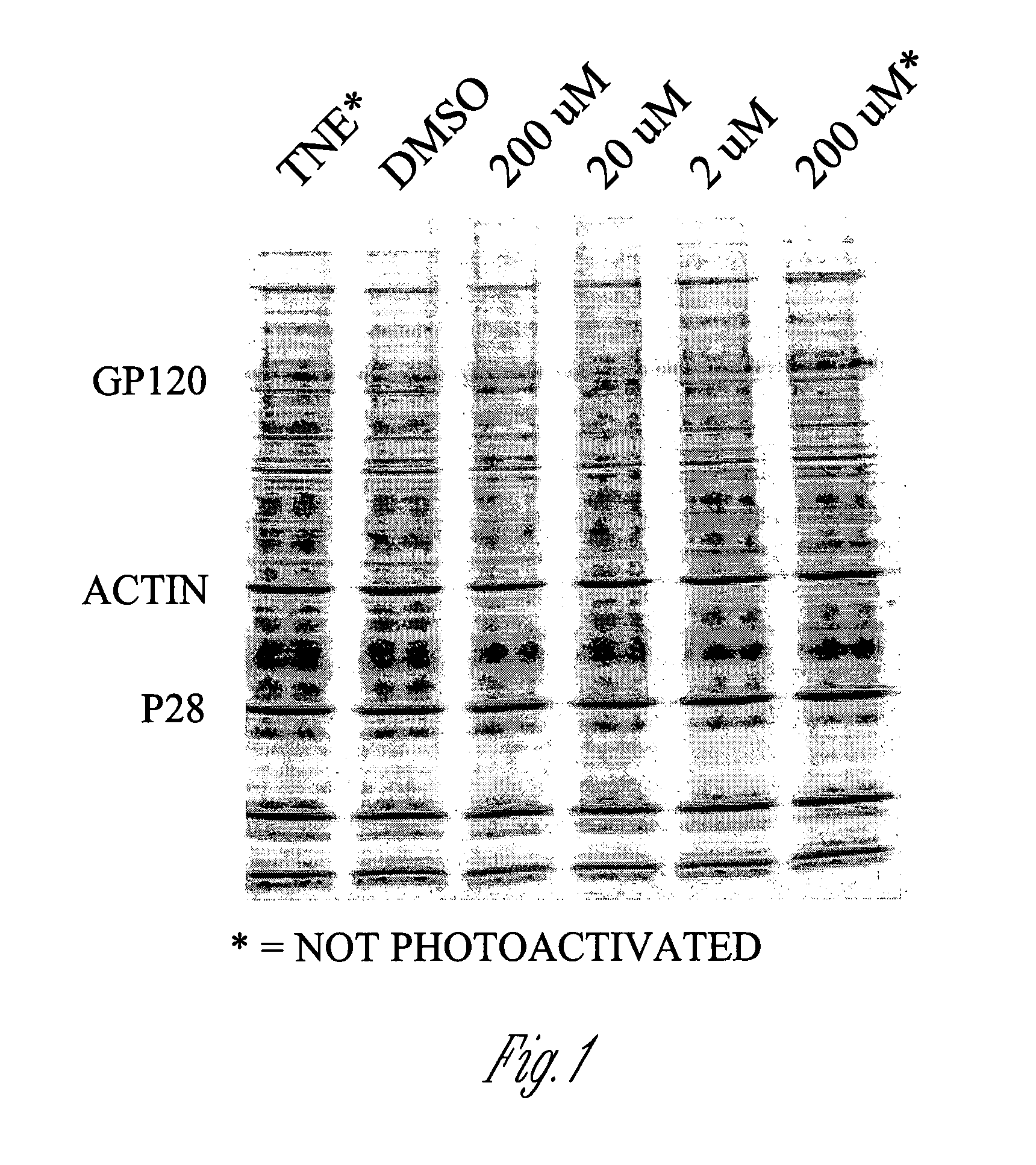 Inactivated Influenza Virus Compositions