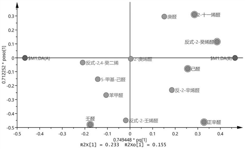 Method for rapidly distinguishing different varieties of rice based on aldehyde compounds