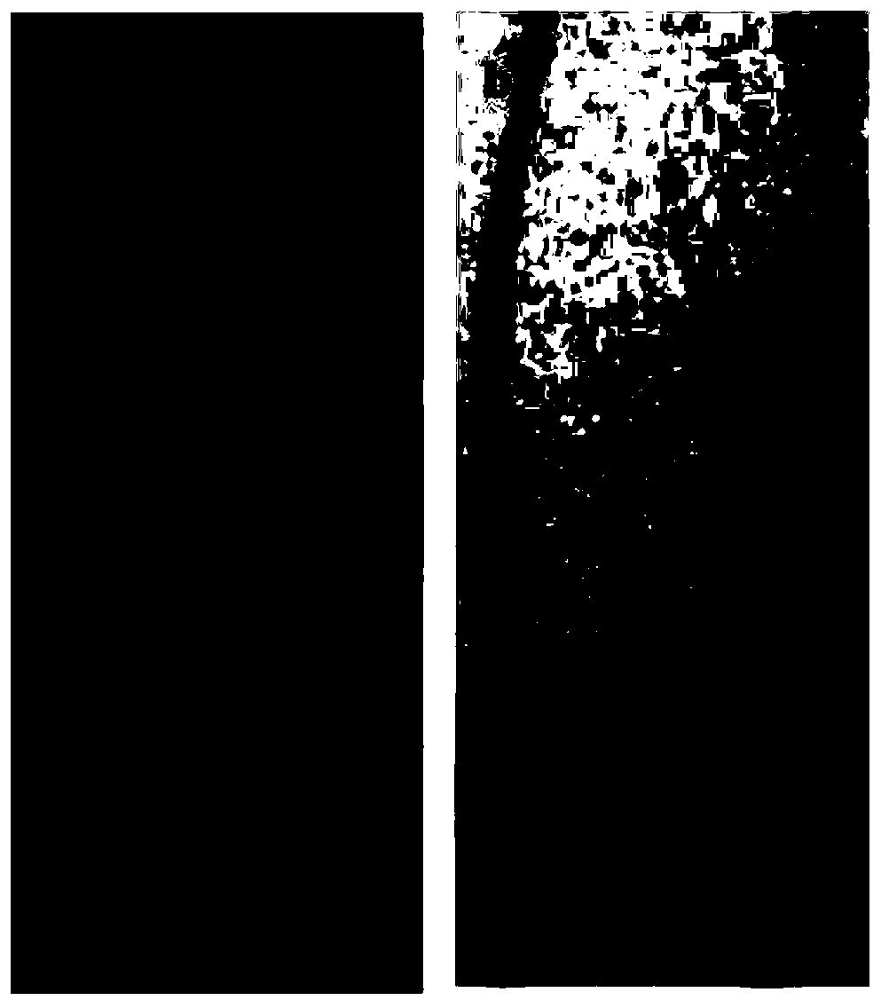 Quick-response oxygen indicator and preparation method thereof