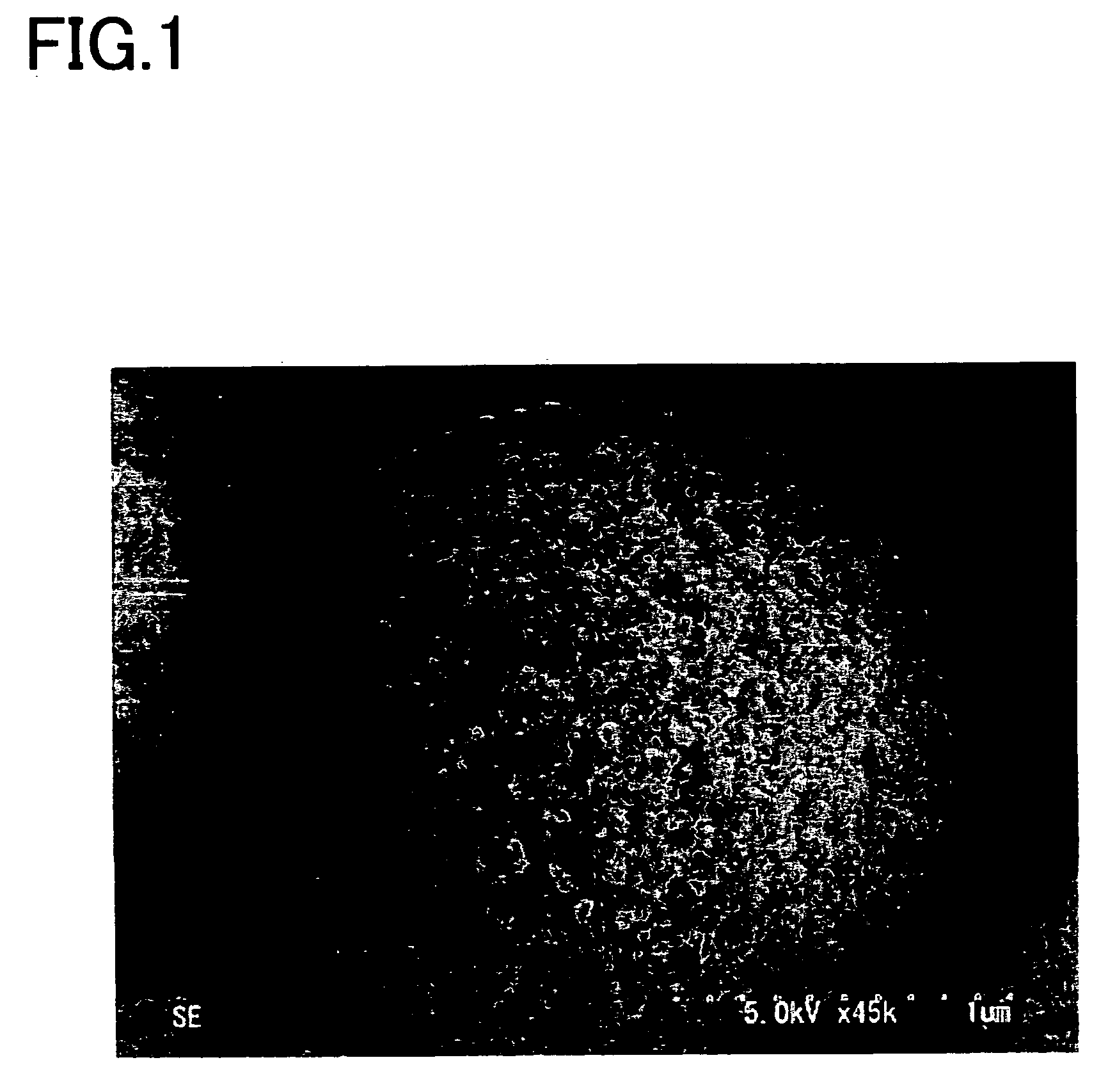 Magnetic particles having porous surfaces, method of producing the same, carrier for biochemical use, and biotin-bonding particles