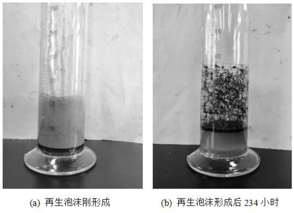 Oil-resistant and salt-resistant foam flooding system with strong regenerated foam stability