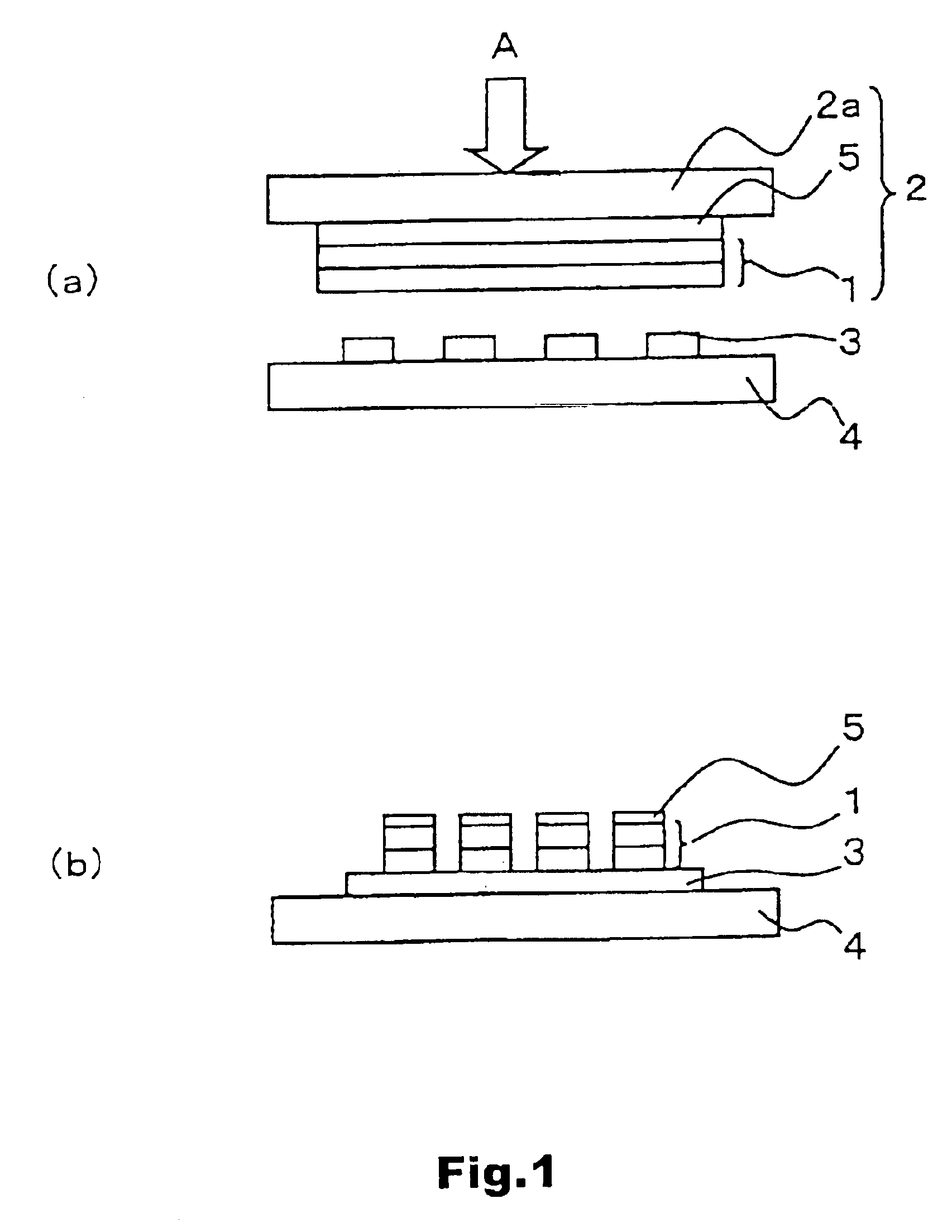 Transfer film and process for producing organic electroluminescent device using the same