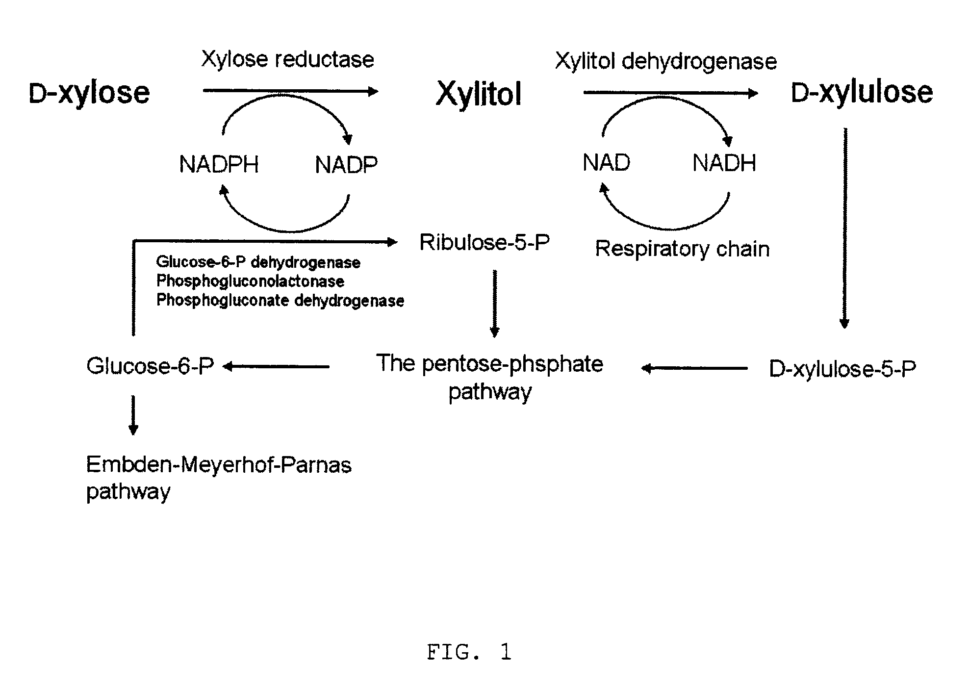 Method for manufacturing xylitol with high-yield and high-productivity