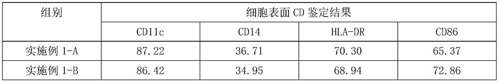 A kind of immature dendritic cell culture fluid and its immature dendritic cell preparation method