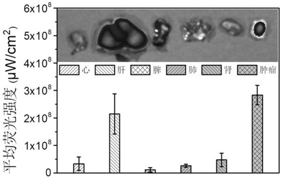 A tumor targeting self-carrier system and its preparation method and application