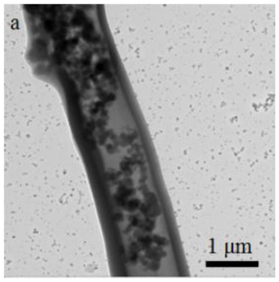 A core-shell structure silicon/carbon fiber flexible composite electrode material and its preparation method and application