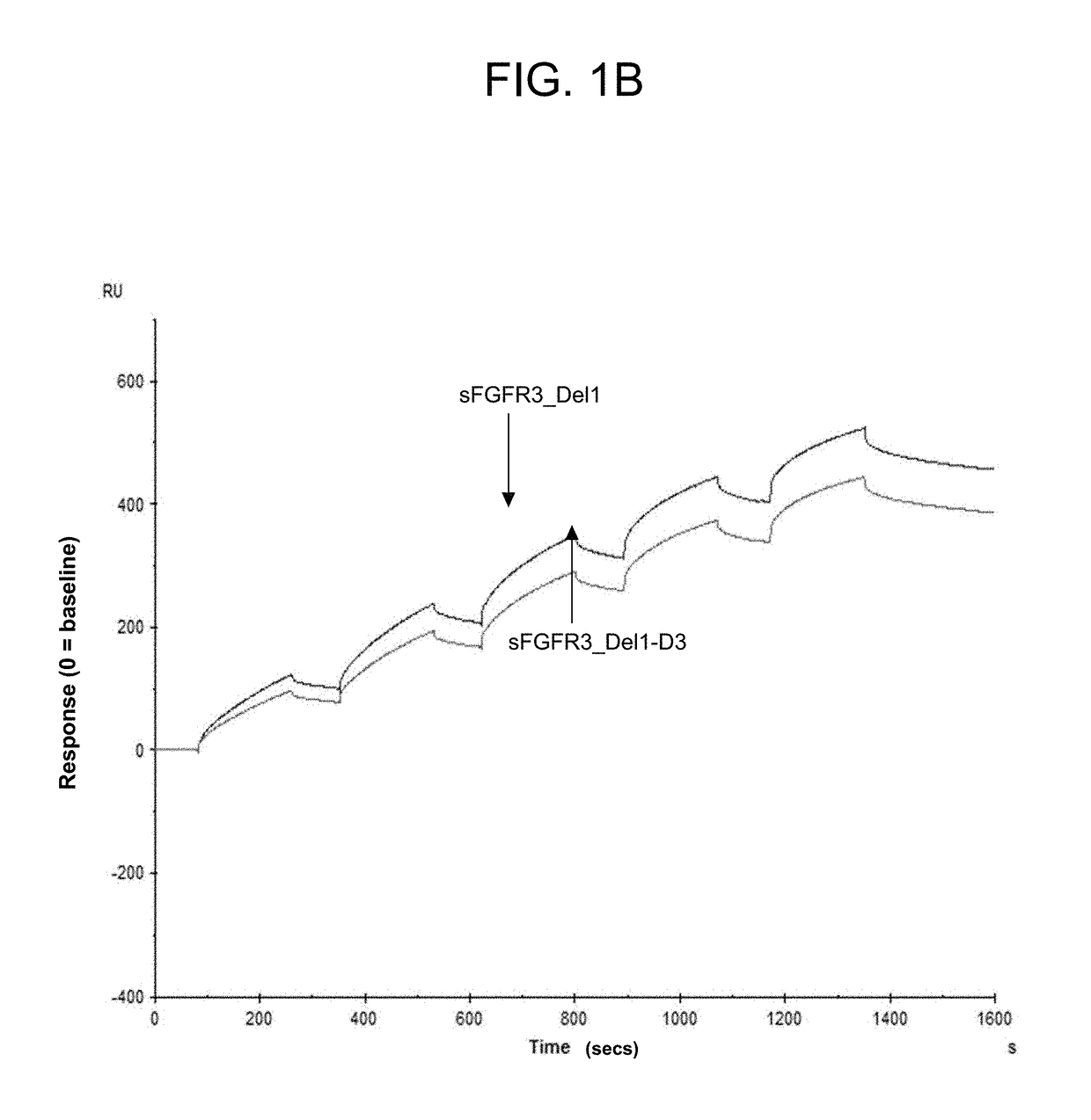 Soluble fibroblast growth factor receptor 3 (sfgfr3) polypeptides and uses thereof
