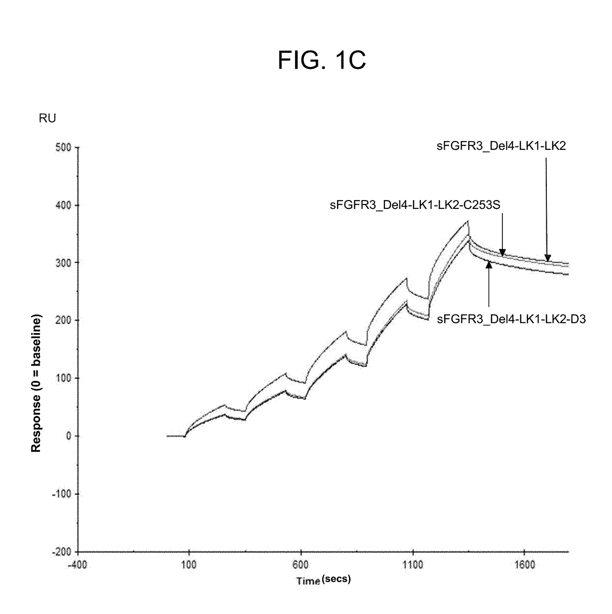 Soluble fibroblast growth factor receptor 3 (sfgfr3) polypeptides and uses thereof