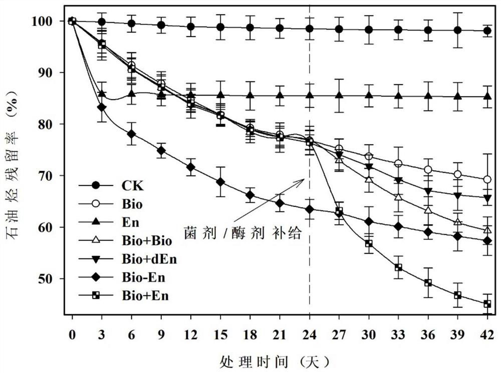 Preparation and application of bacterium-enzyme composite preparation for petroleum hydrocarbon degradation