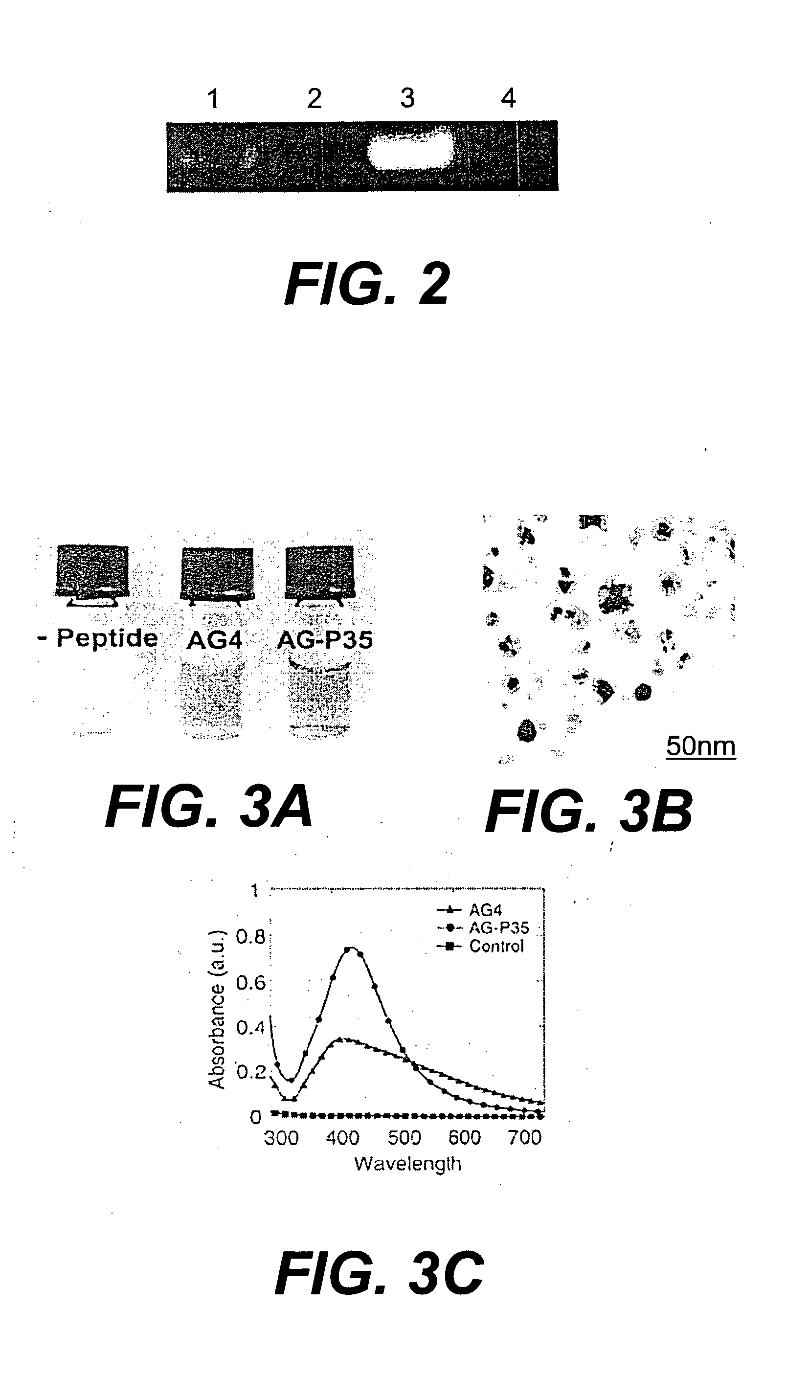 Peptide templates for nanoparticle synthesis obtained through PCR-driven phage display method