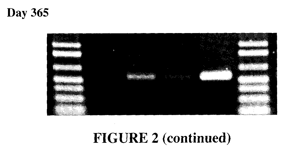Compositions and method for storage of nucleic acid from bodily fluids