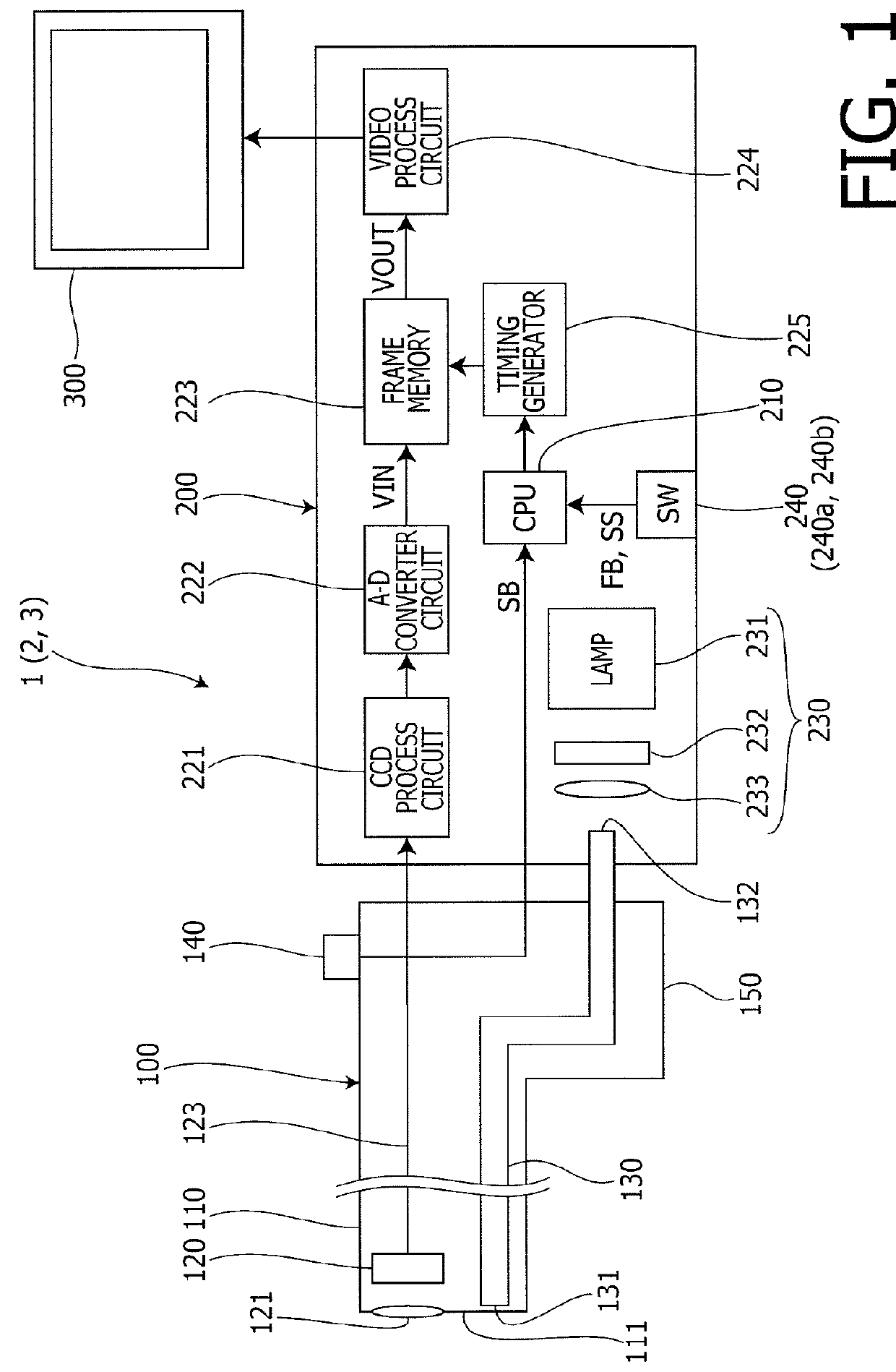 Processor for electronic endoscope and electronic endoscope apparatus