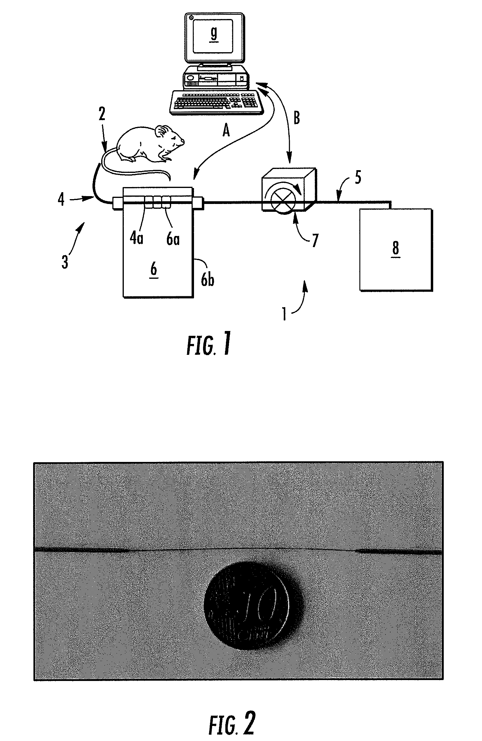 Device and method for counting elementary particles emitted by a fluid in a conduit