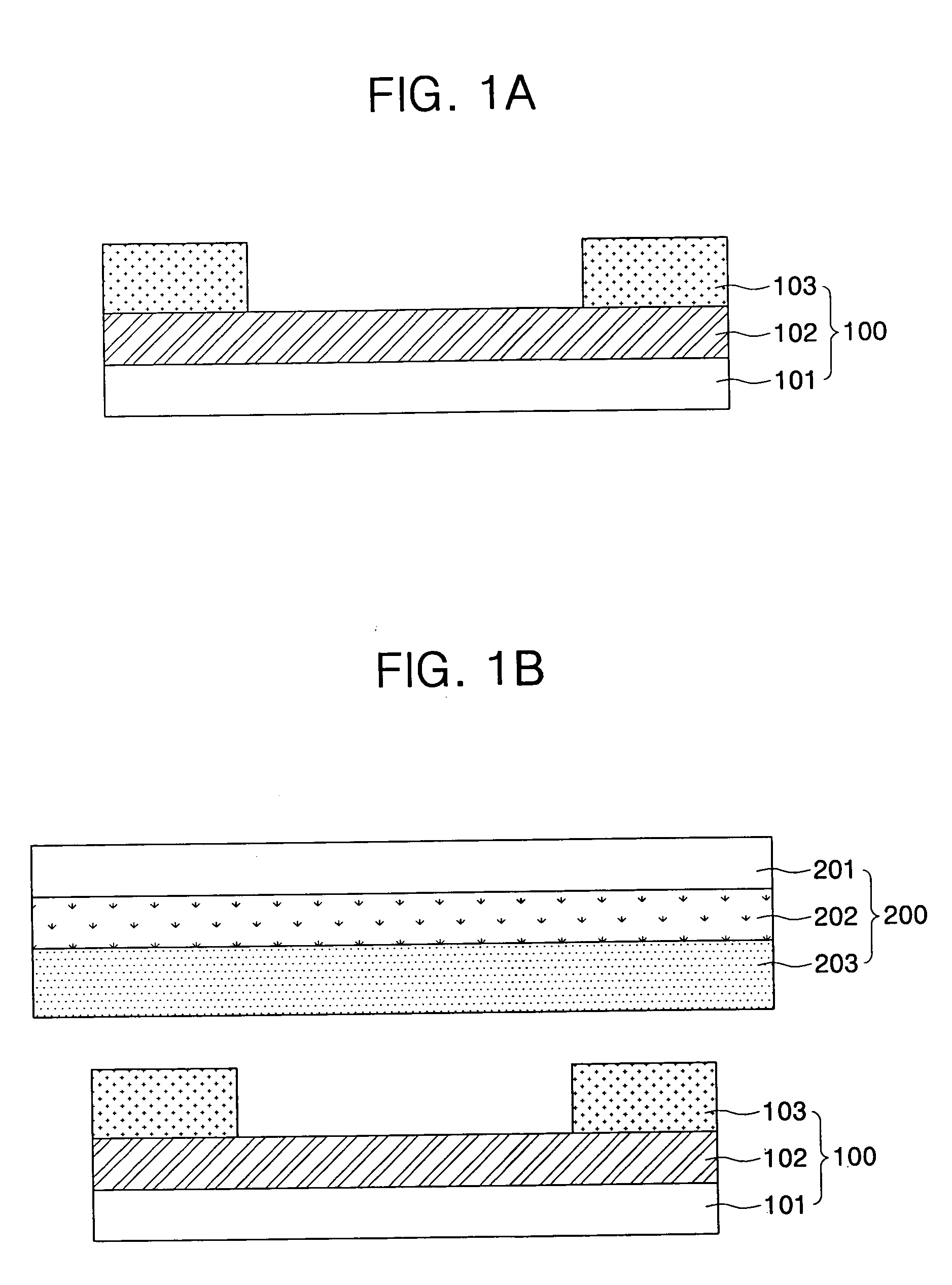 Small molecular organic electroluminescent display device and method of fabricating the same