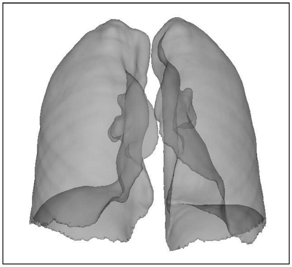 Automatic lung organ model leaf division method and system based on CT image