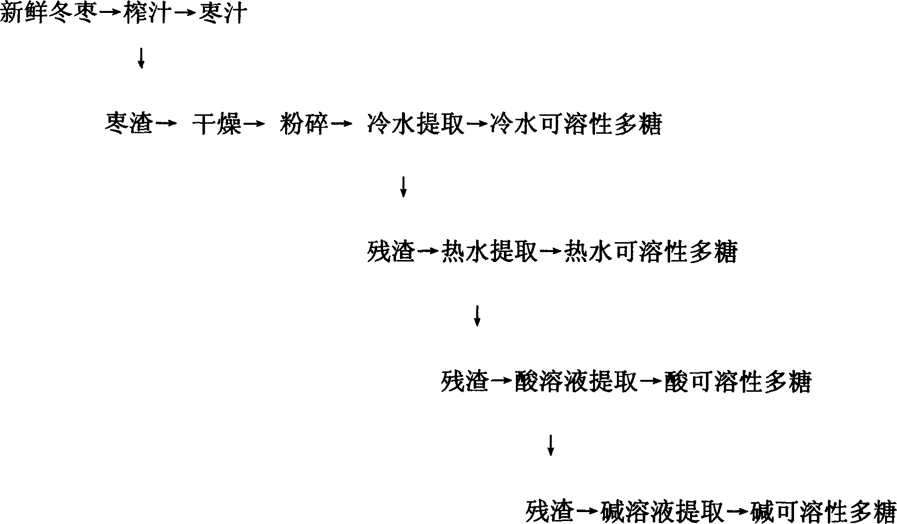 Extraction method of polysaccharide from winter jujub