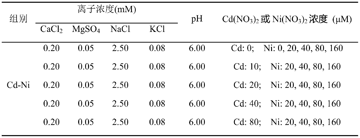 Prediction method of soil cadmium-nickel compounded wheat enrichment amount