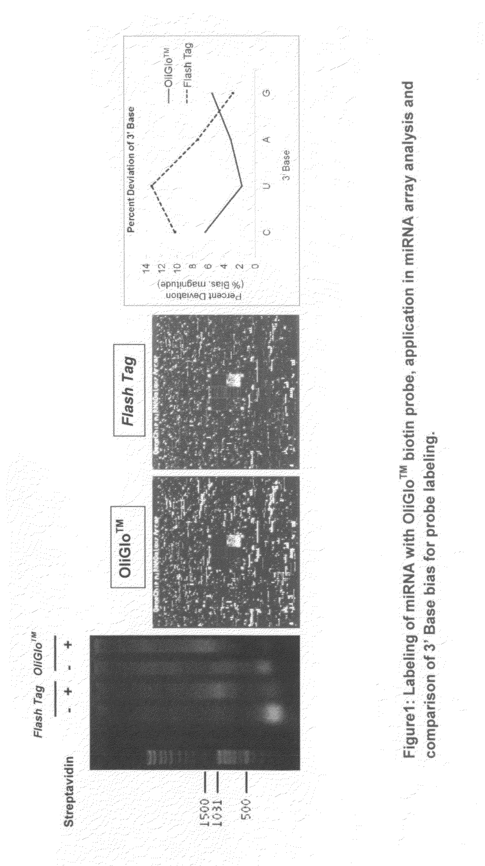 Reagents and methods for direct labeling of nucleotides