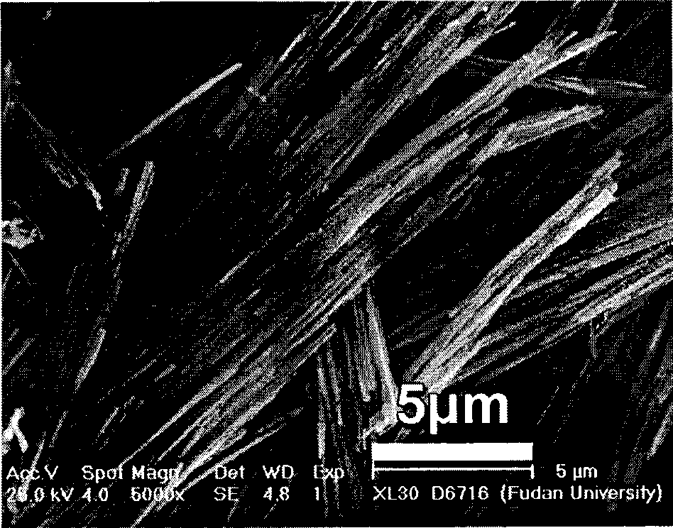 Method for synthesizing molybdenum dioxide-carbon composite nano-wire