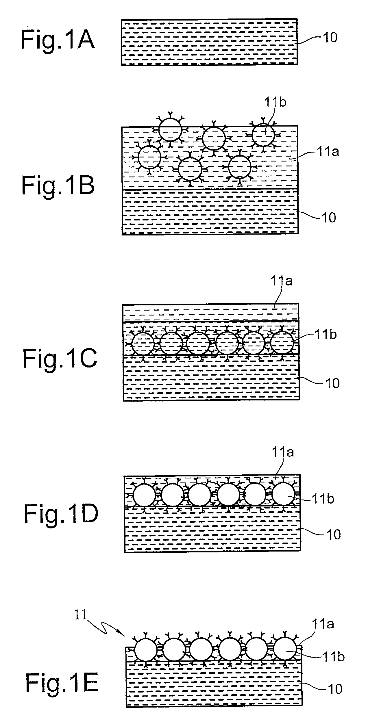 Method for formation of a stationary phase in an immunoadsorption wall