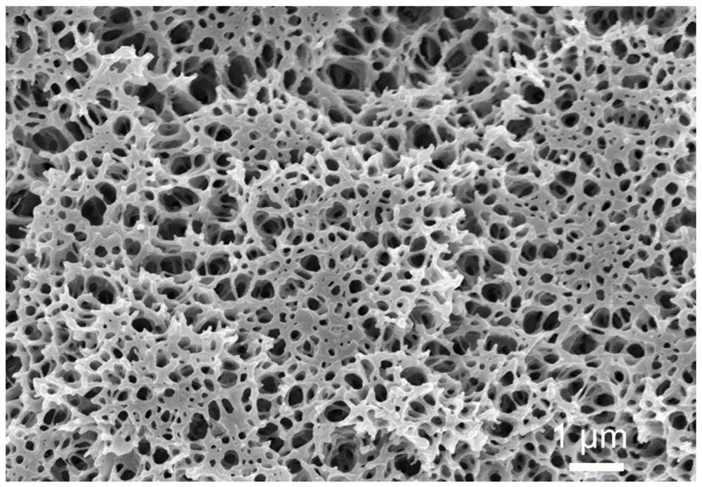 Poly(4-methyl-1-pentene) hollow fiber membrane and preparation method thereof