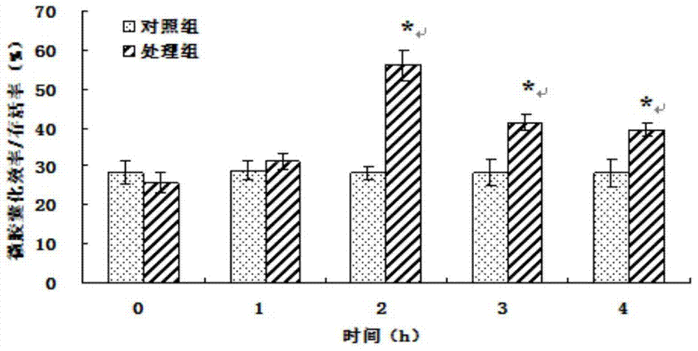 A method for protecting Lactobacillus by cross-linking soybean protein isolate with transglutaminase