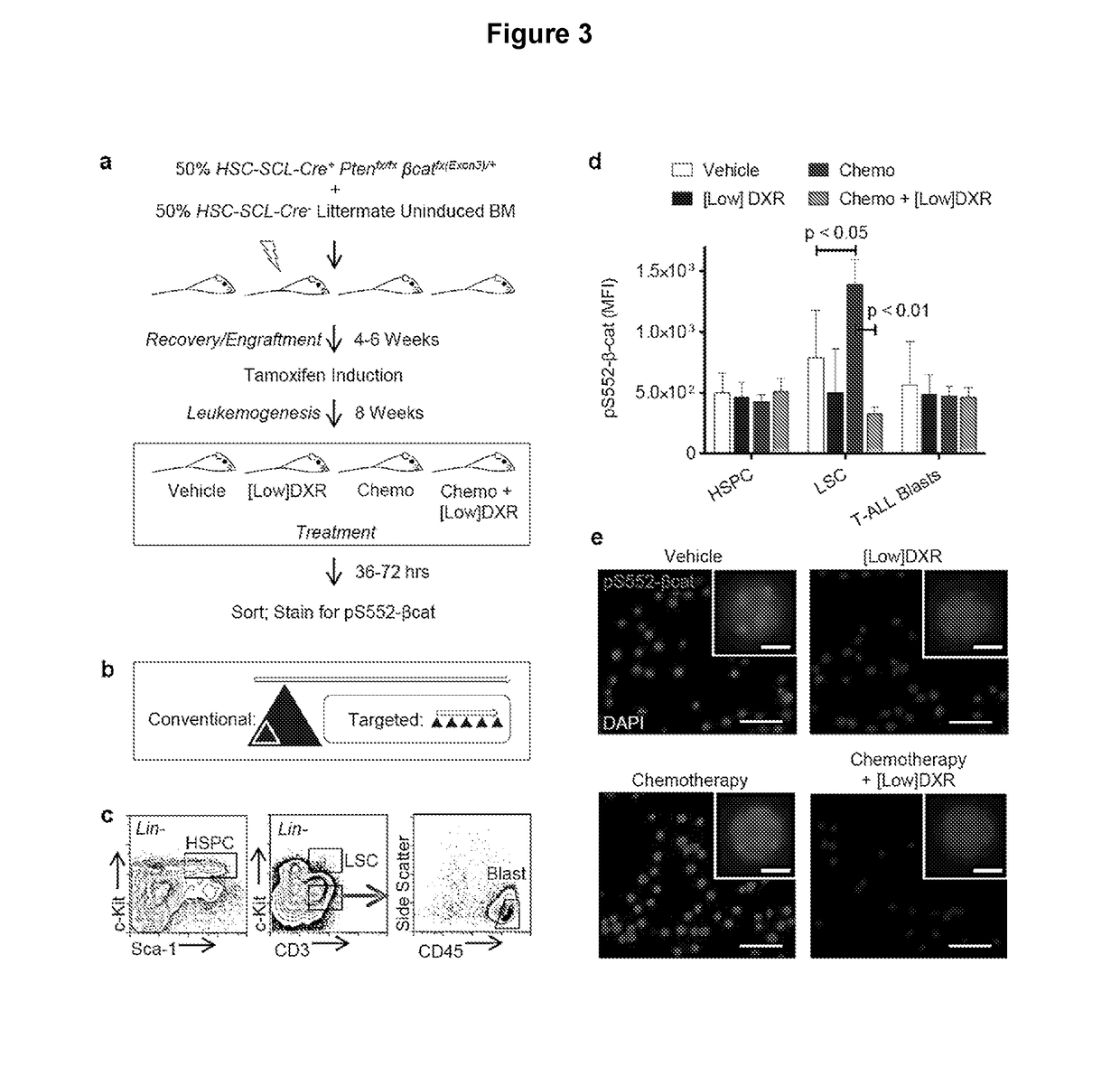 Methods for treating chemoresistant cancer-initiating cells