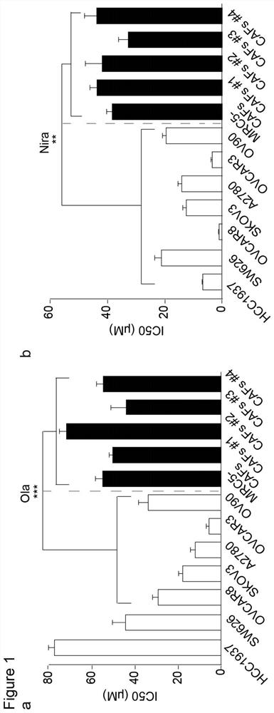 Marker for cancer cell drug resistance, preparation composition for reversing cancer cell drug resistance and application of preparation composition