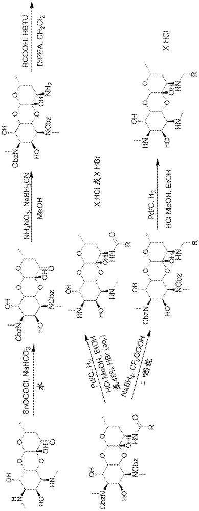 Spectinomycinamide as an anti-tuberculosis agent