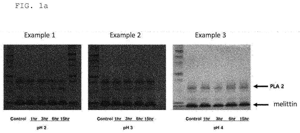 Bee venom-purifying method comprising viral clearance process and composition for preventing or treating inflammatory disease by using same