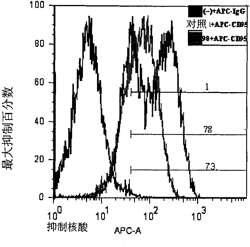 Application of let-7/miR-98 family in preparation of medicament for treating disease related to FAS (Fatty Acid Synthase) gene