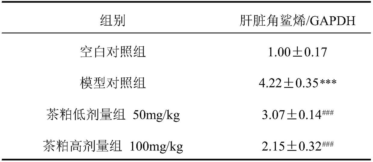 Tea seed meal used as squalene synthetase inhibitor and application of tea seed meal in reduction of lipid