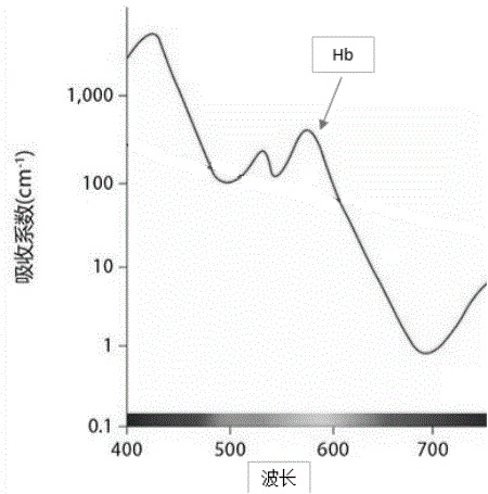 Hemoglobin analysis method and system based on microscopic amplification digital image