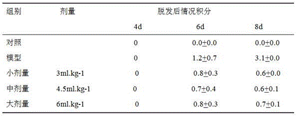Hair firming and fall preventing medicine composition and preparation method, preparation and application thereof
