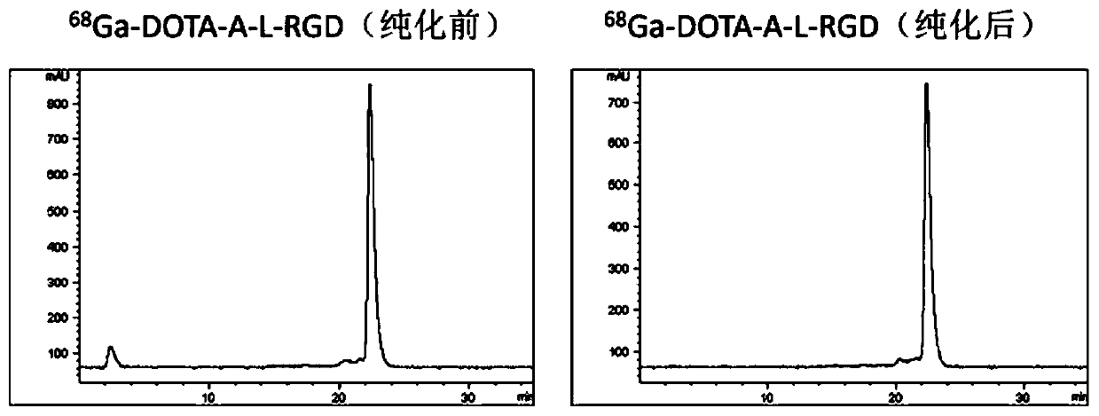 A nuclear medicine drug of structurally modified rgd polypeptide