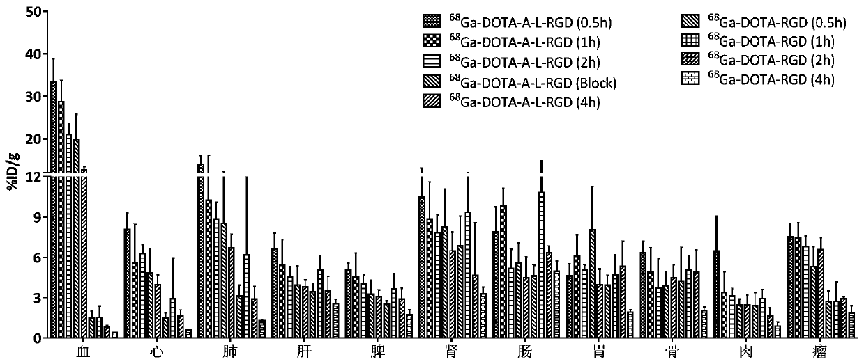 A nuclear medicine drug of structurally modified rgd polypeptide