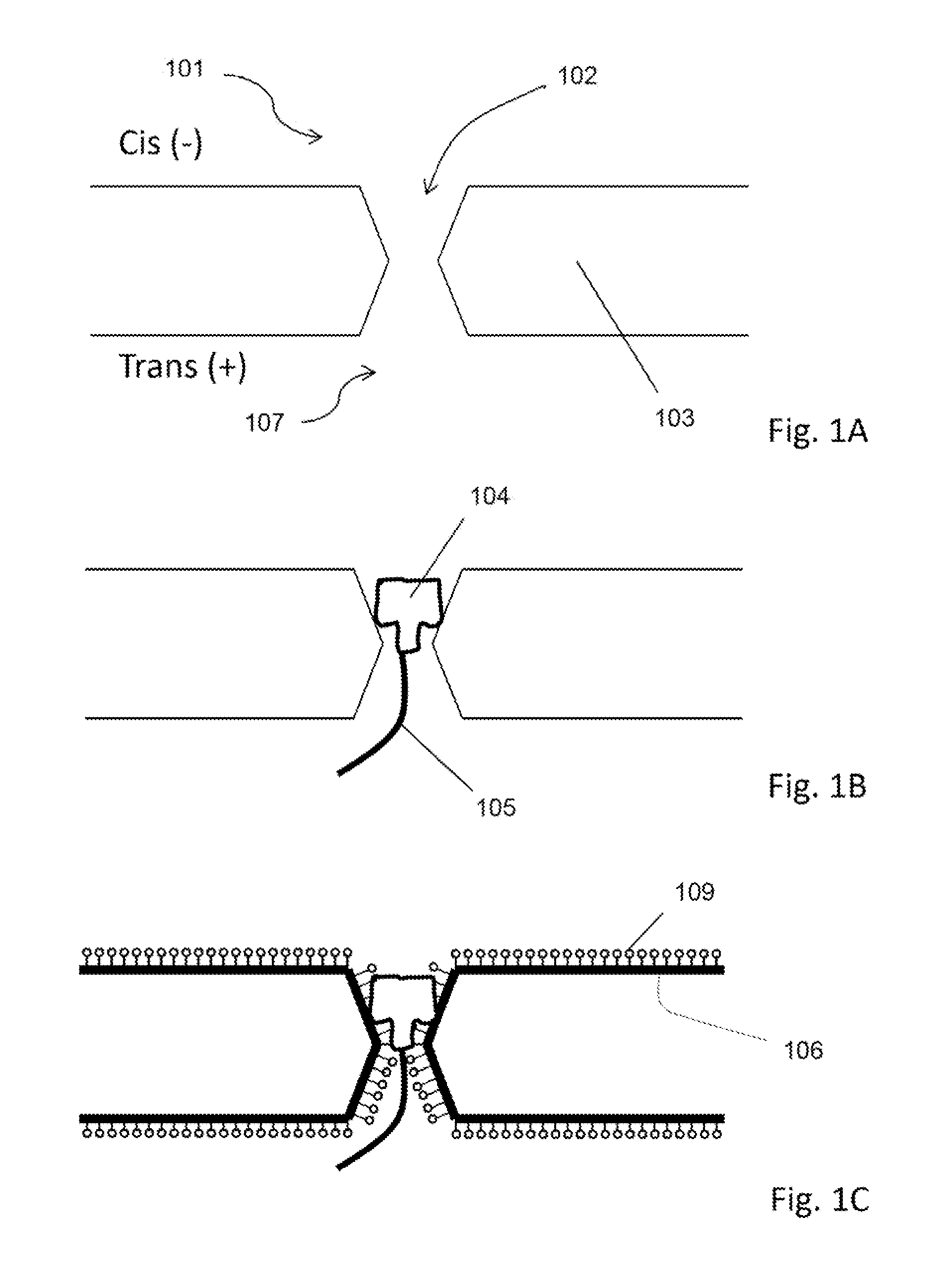 Hybrid nanopore device with optical detection and methods of using same