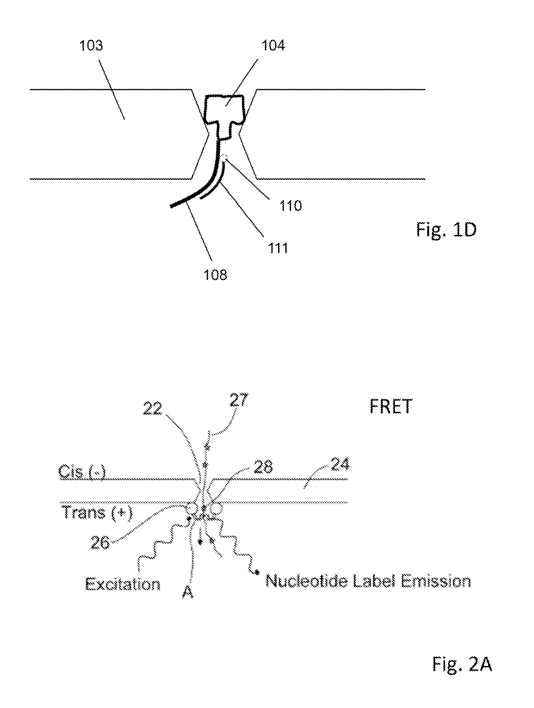 Hybrid nanopore device with optical detection and methods of using same