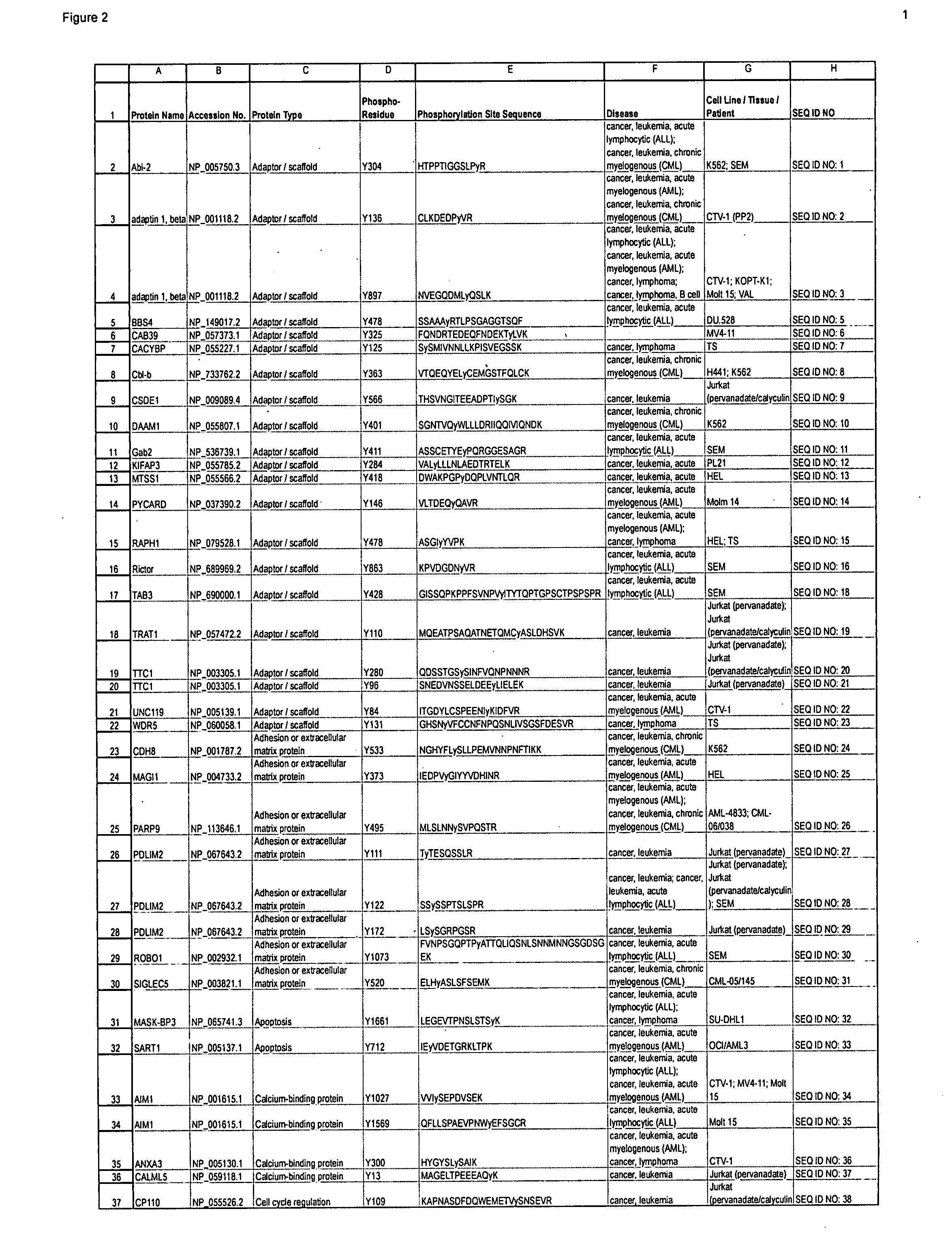 Tyrosine phosphorylation sites