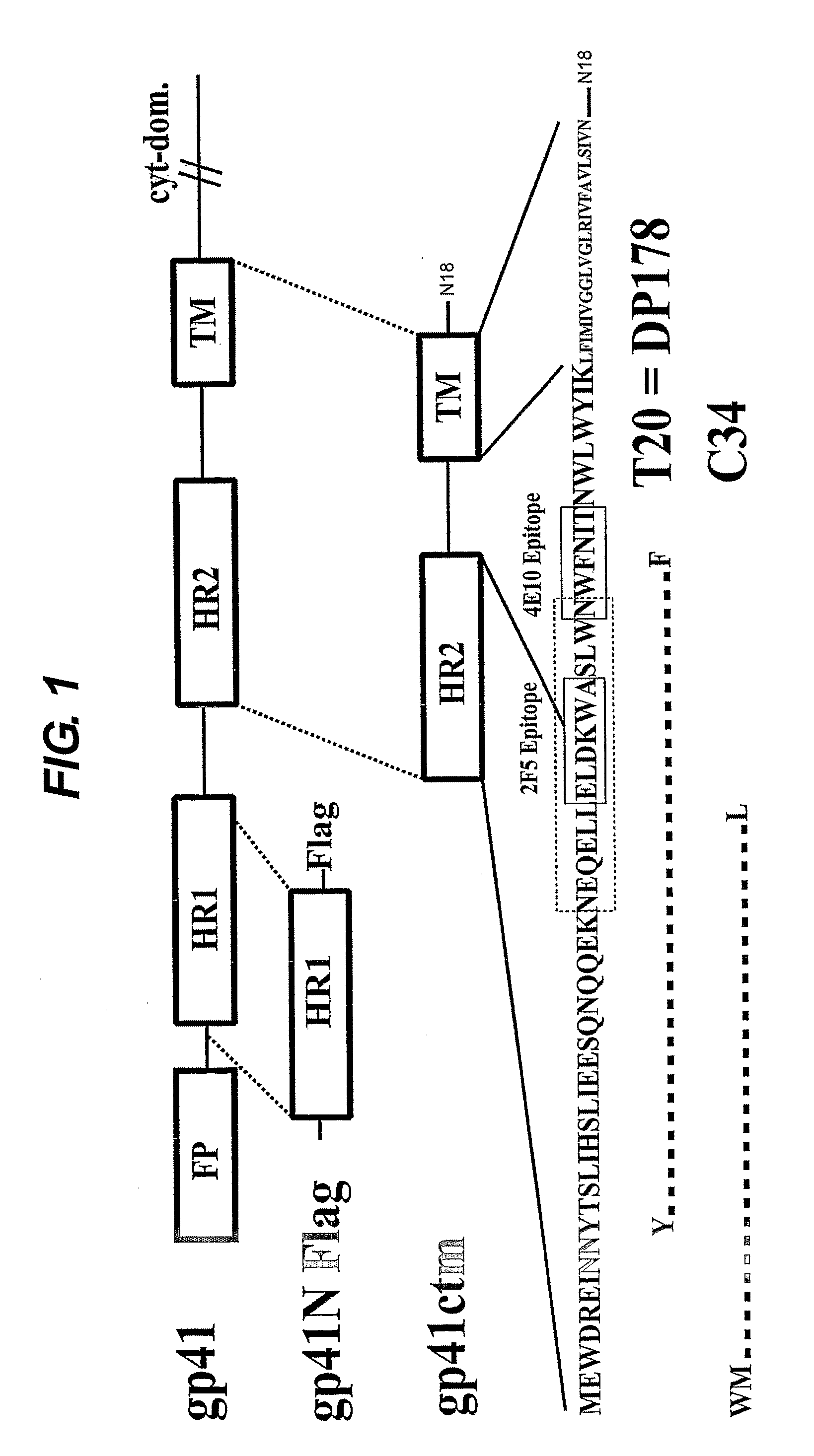 Inhibitors of Infection