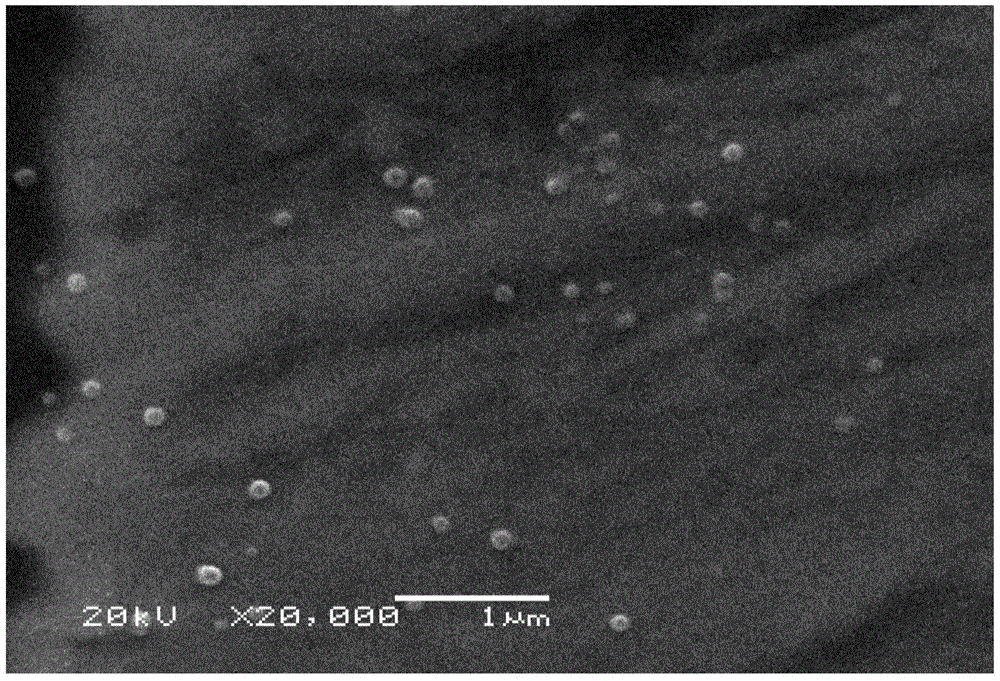 20(R)-ginsenoside Rg3 slow release nanometer microsphere composition, and preparation method thereof