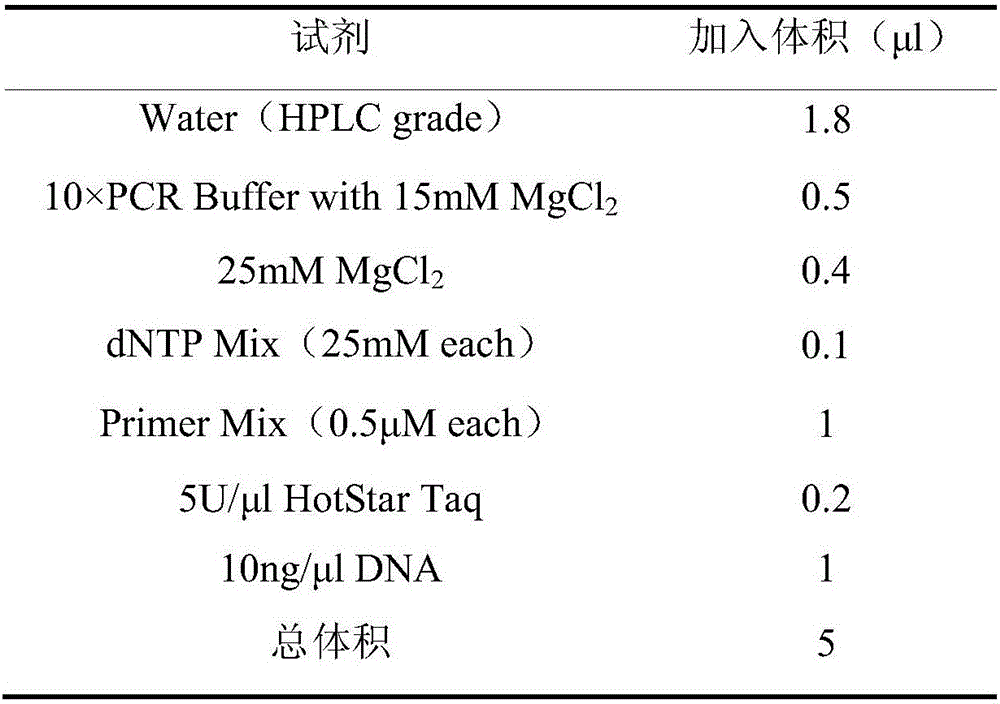 Single nucleotide polymorphism marker site, primer and kit for identifying coloring property of peach epidermis and application