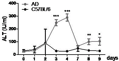 Construction method for inducible specific liver injury mouse model