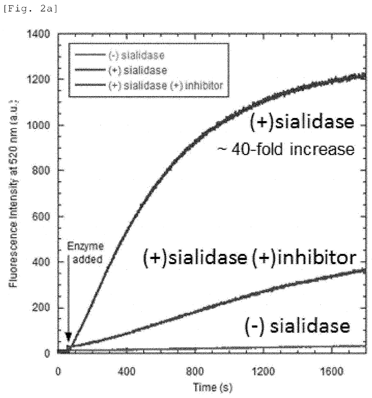 Fluorescent probe for detecting activation of sialidase