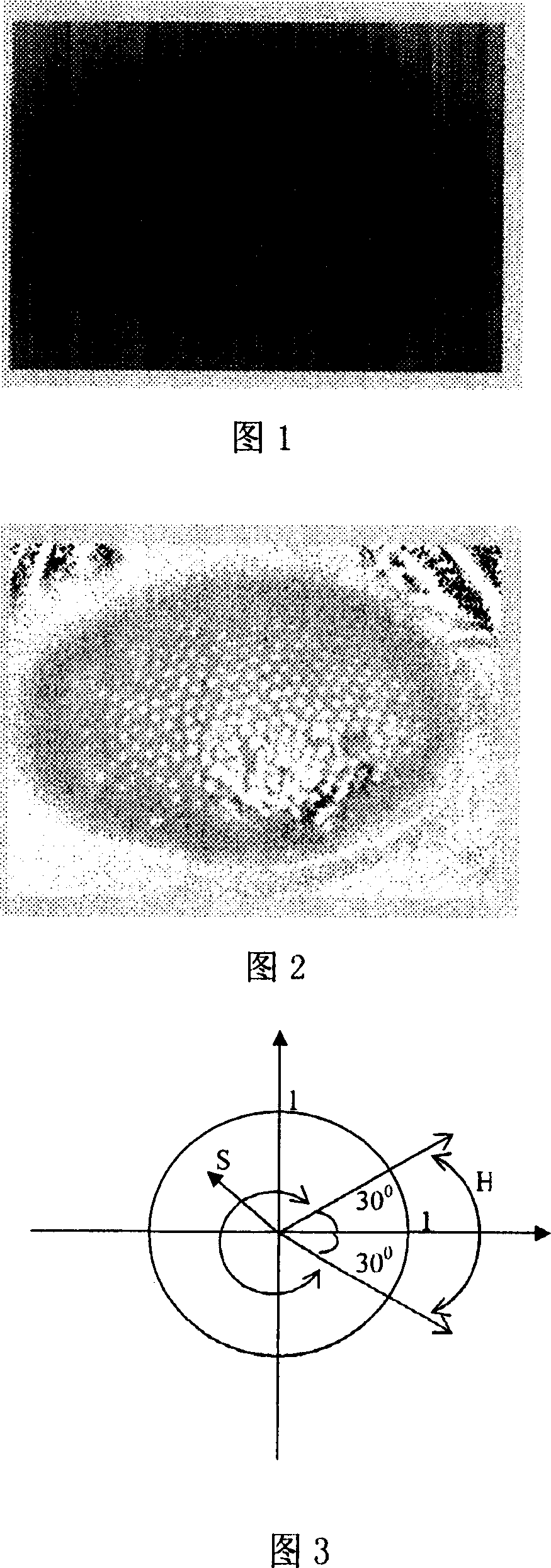 Method for picking-up gray-scaled images of fruit flies