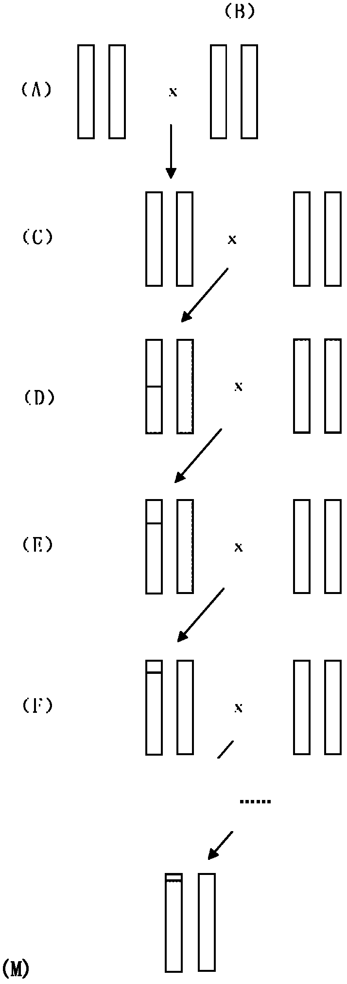 Construction for number 1 chromosome substitution laboratory mouse strain C57BL/6-Chr1AKR