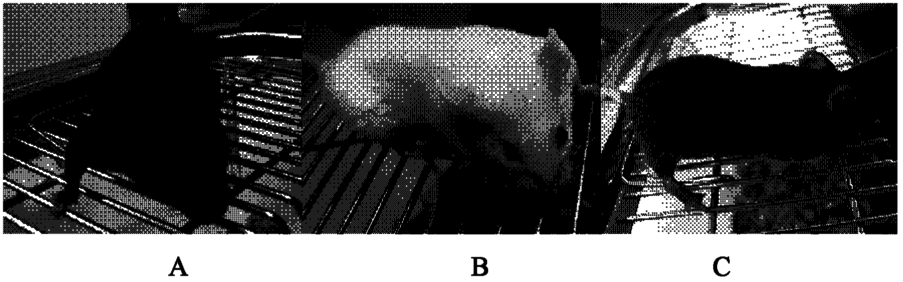 Construction for number 1 chromosome substitution laboratory mouse strain C57BL/6-Chr1AKR