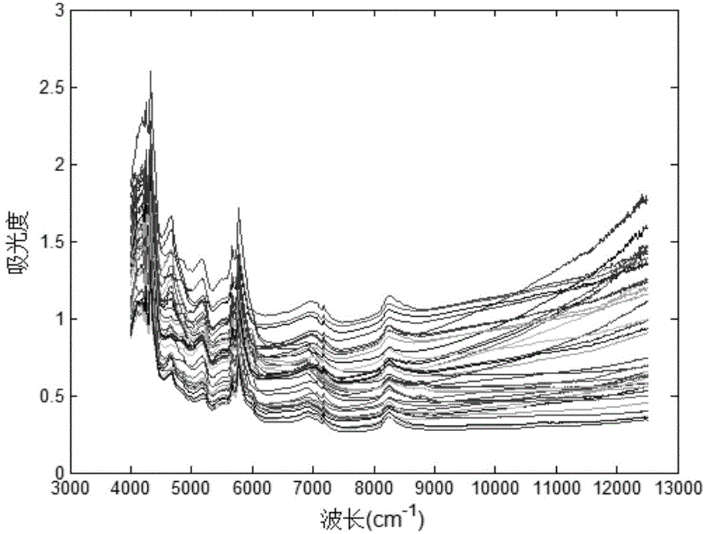 Method for rapidly identifying propolis source